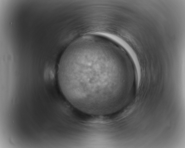 X0000088750072200706071729