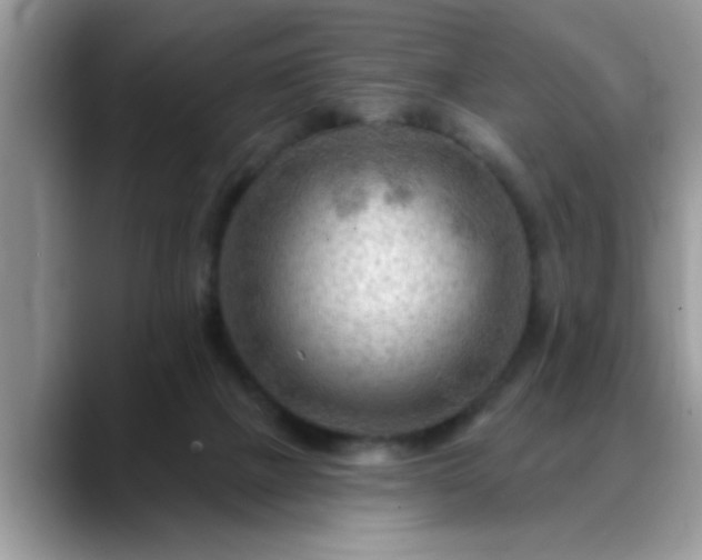 X0000088750073200706071729
