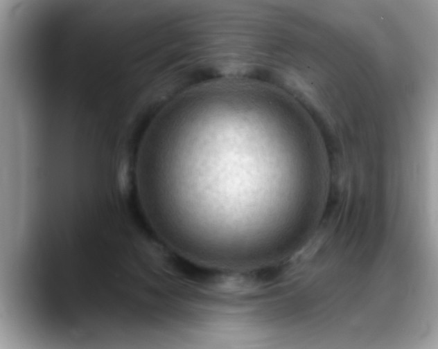 X0000088750074200706071729