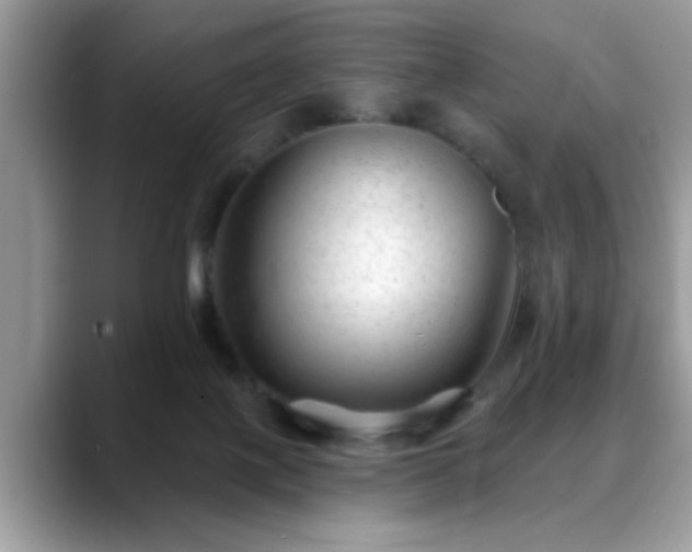 X0000088750075200706071729