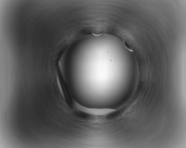 X0000088750077200706071729