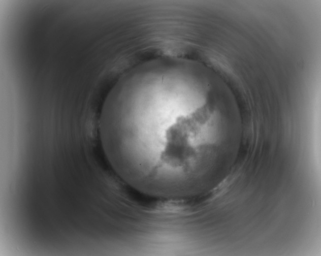 X0000088750078200706071729