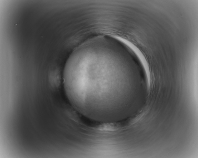 X0000088750080200706071729