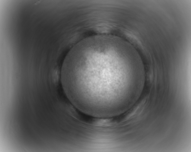 X0000088750081200706071729