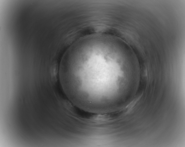 X0000088750082200706071729