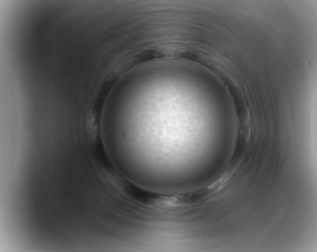 X0000088750086200706071729