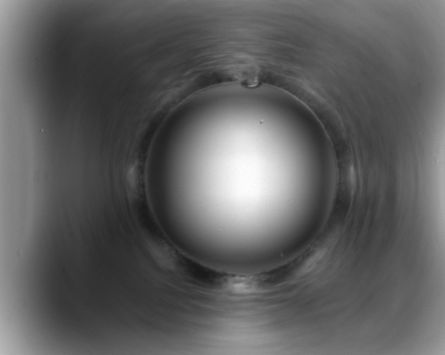 X0000088750088200706071729