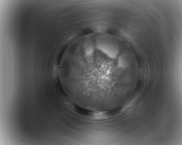 X0000088750093200706071729