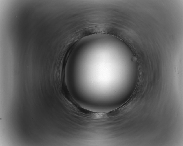 X0000088750096200706071729