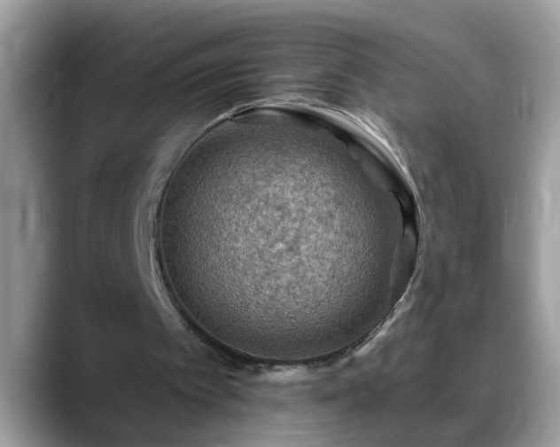 X0000088750097200706071728