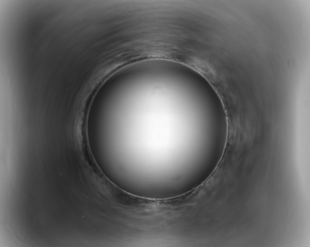 X0000088750098200706071728
