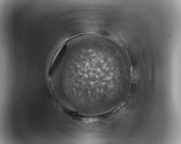 X0000088750099200706071728