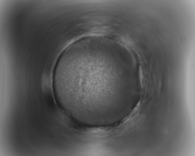 X0000088750100200706071728