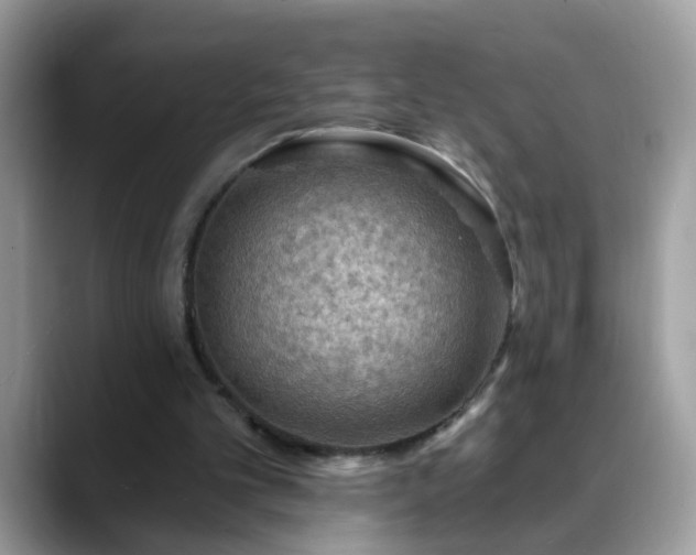 X0000088750101200706071728