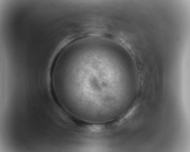 X0000088750102200706071728