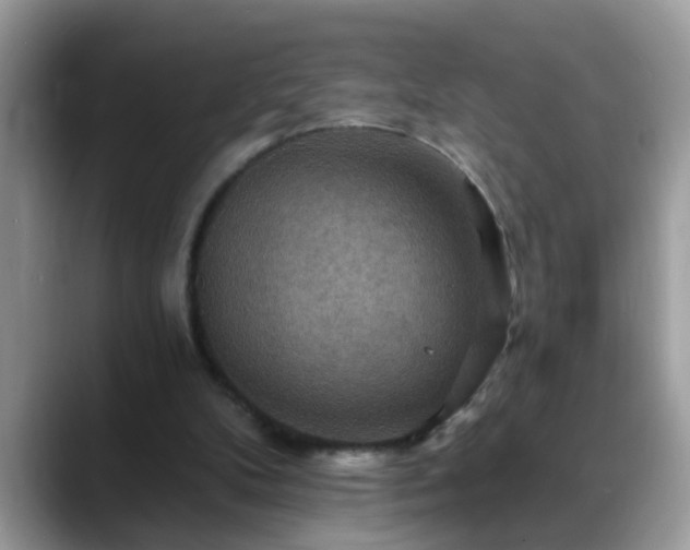 X0000088750104200706071728