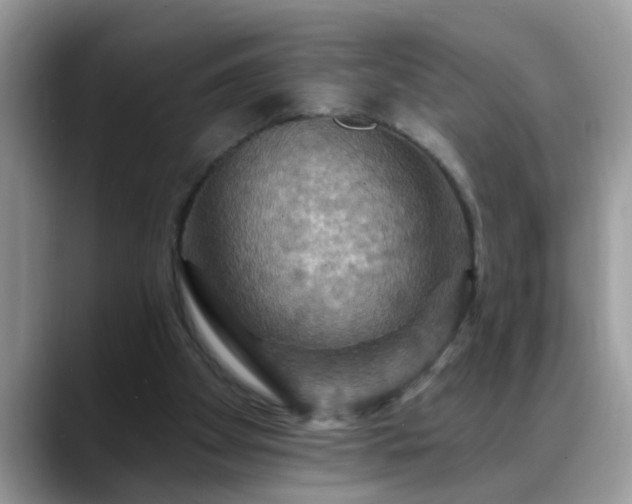 X0000088750105200706071728