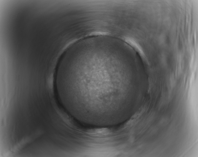X0000088750108200706071728