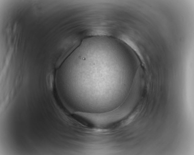 X0000088750109200706071728