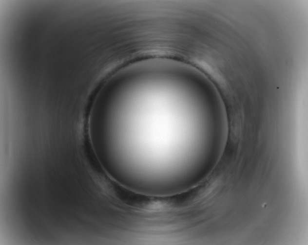 X0000088750111200706071728