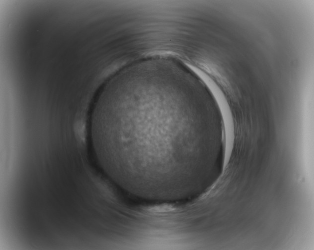 X0000088750112200706071728