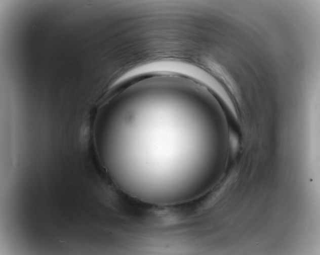 X0000088750113200706071728