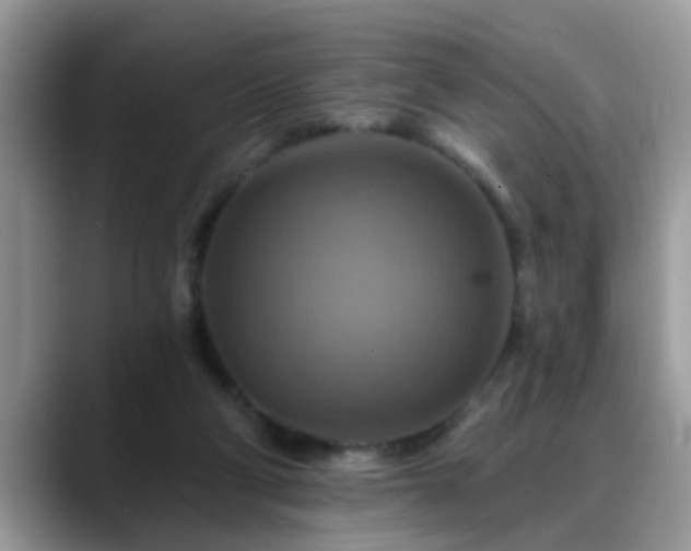 X0000088750114200706071728
