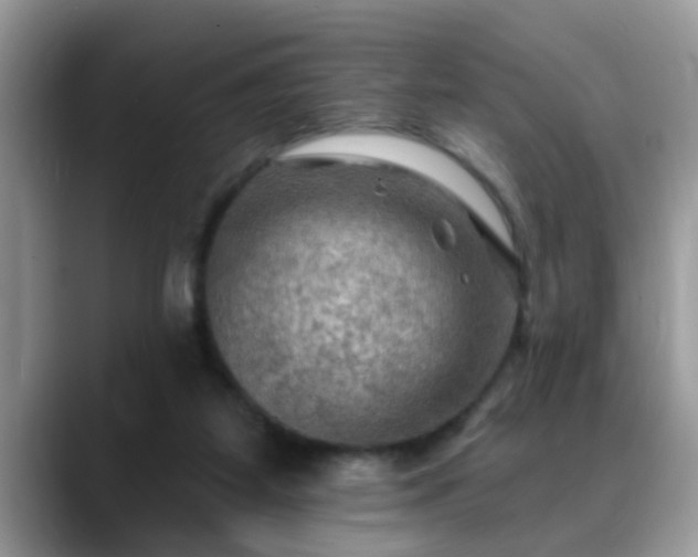 X0000088750115200706071728
