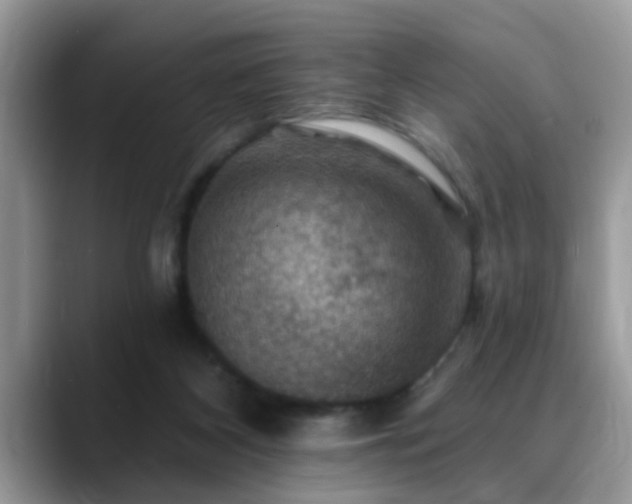 X0000088750116200706071728