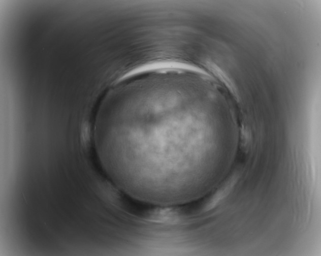 X0000088750117200706071728