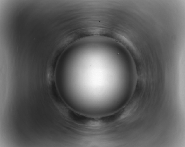 X0000088750119200706071728