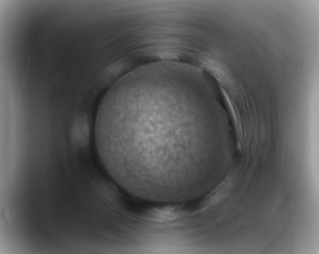X0000088750120200706071728