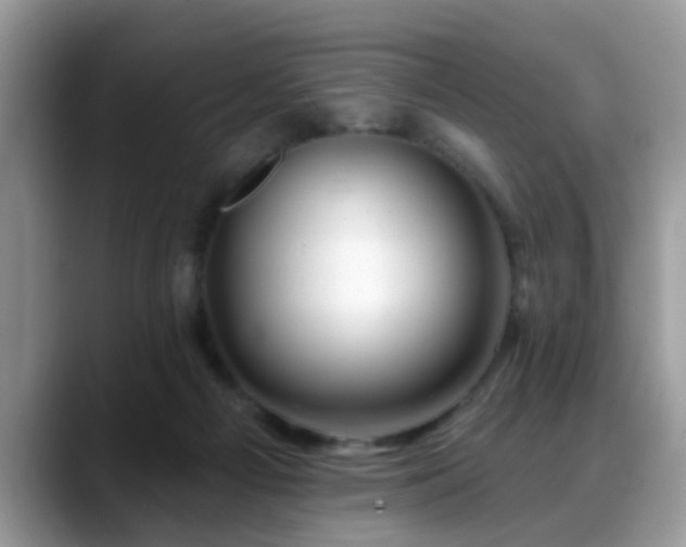 X0000088750121200706071728
