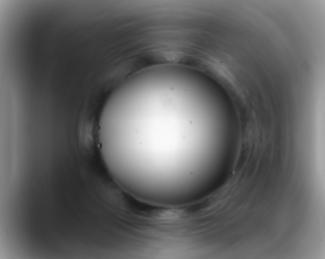 X0000088750122200706071728