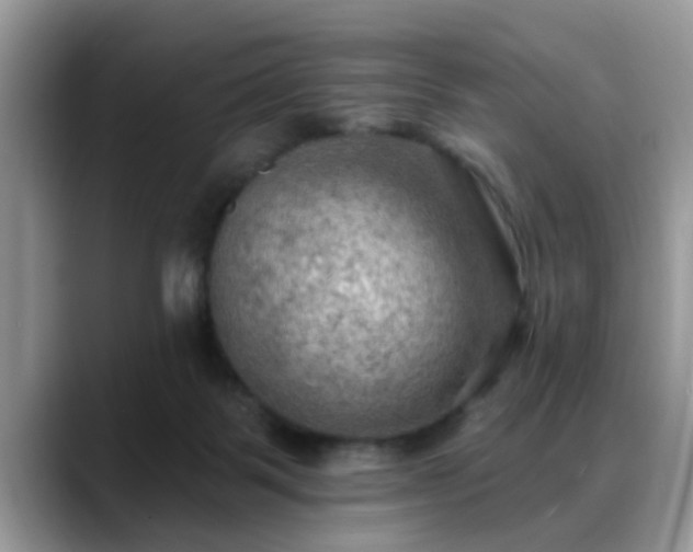 X0000088750123200706071728