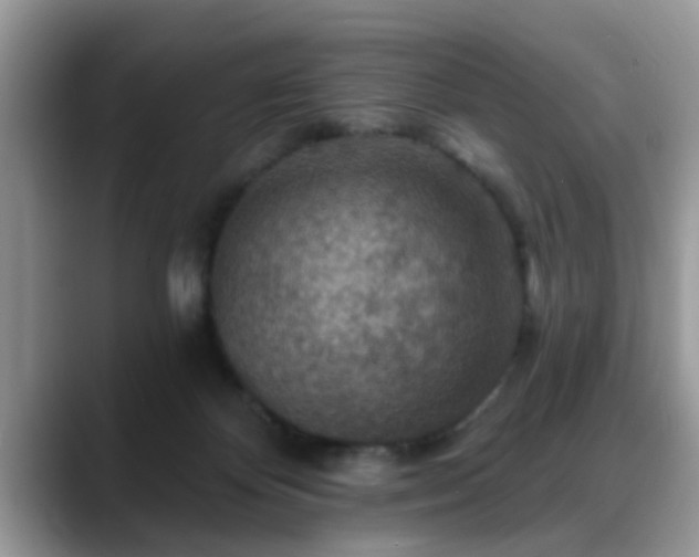 X0000088750124200706071728