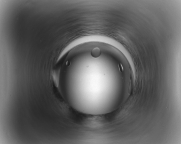 X0000088750125200706071728