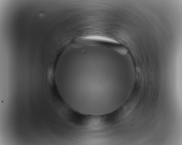 X0000088750127200706071728