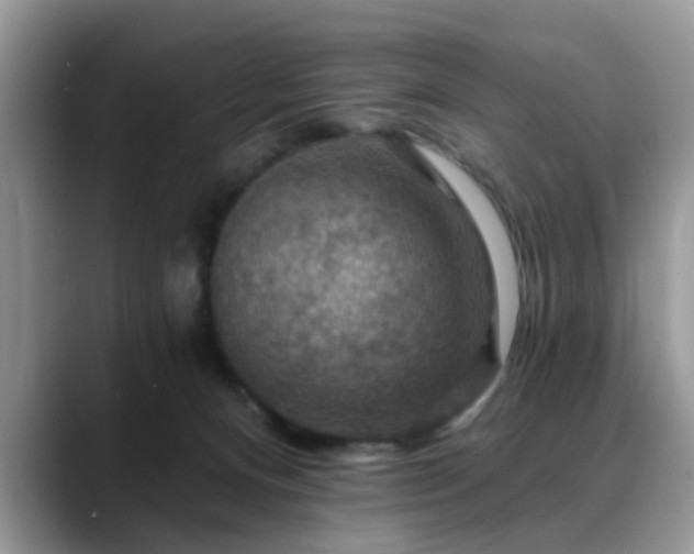 X0000088750128200706071728