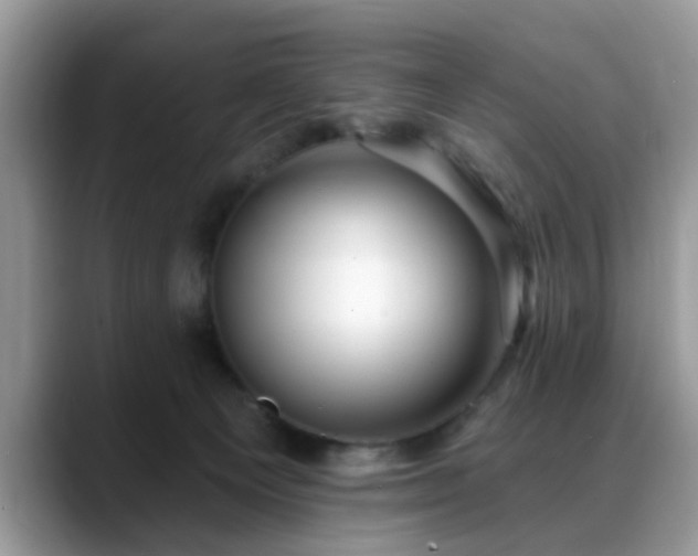 X0000088750129200706071728