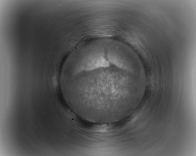 X0000088750131200706071728