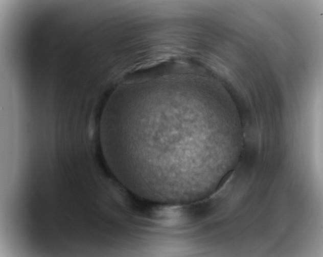 X0000088750132200706071728