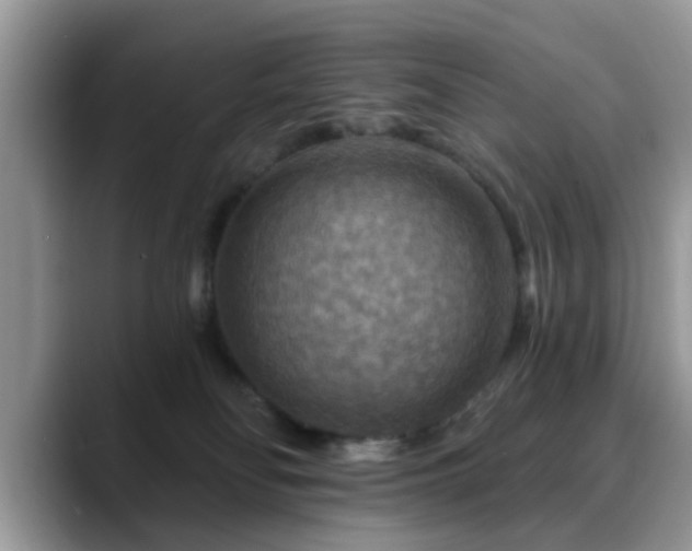X0000088750134200706071728