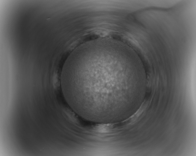 X0000088750136200706071728