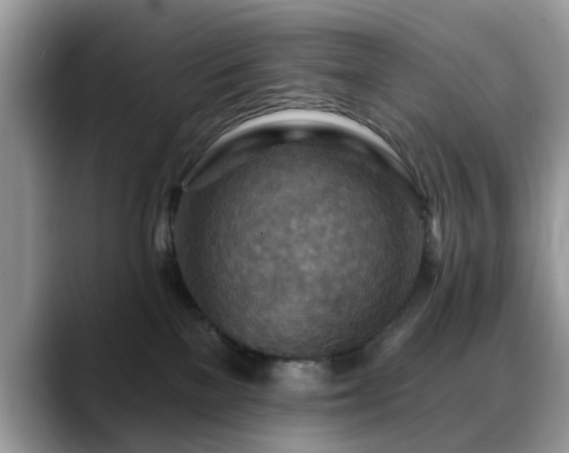 X0000088750137200706071728