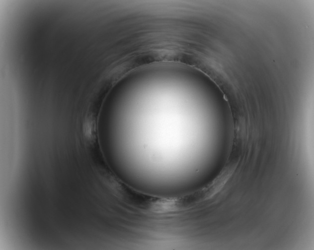 X0000088750138200706071728