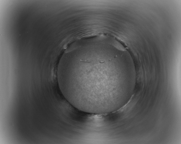 X0000088750140200706071728