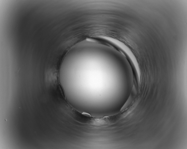 X0000088750141200706071728