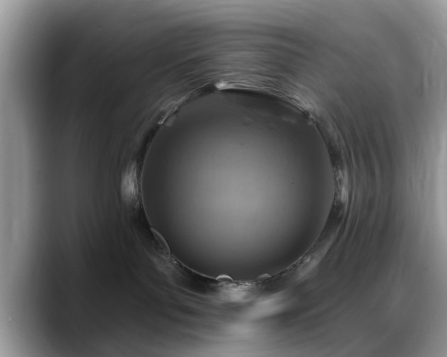 X0000088750143200706071728