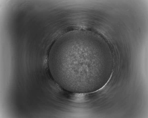 X0000088750144200706071728
